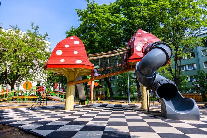 tematyczny plac inspirowany Alicją w Krainie Czarów z kolorowymi elementami
